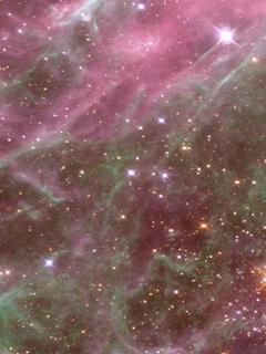 Other Wallpapers 0565